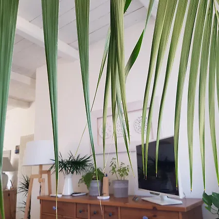 Azzurro Bed and Breakfast 3*
