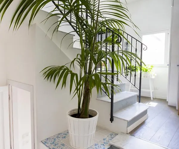 Azzurro Чефалу