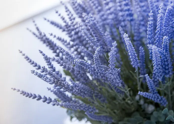 Azzurro לינה וארוחת בוקר צ'פאלו