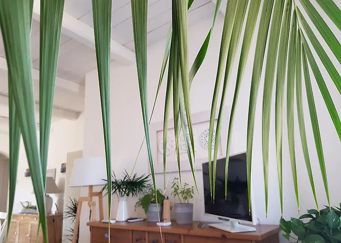 Azzurro לינה וארוחת בוקר 4*